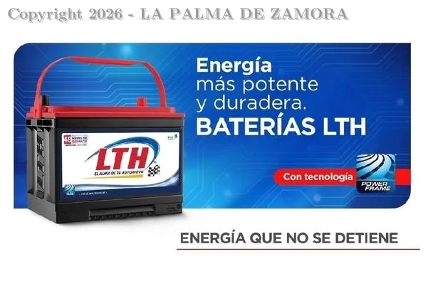 BOEHRINGER SUSPENSIÓN PEDIÁTRICA 100ML